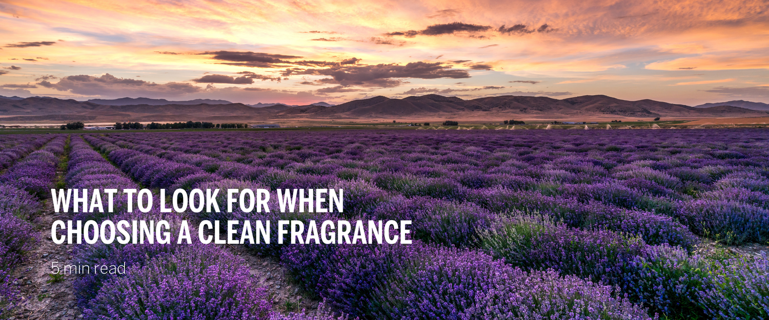 What to Look For When Choosing a Clean Fragrance