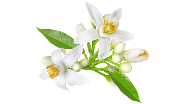 Neroli